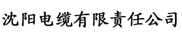 橙子视频黄app电缆厂logo